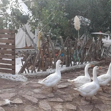 Farm Glamping Tent On Acquaviva Bay