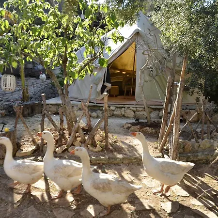 Glamping Farm Glamping Tent On Acquaviva Bay *